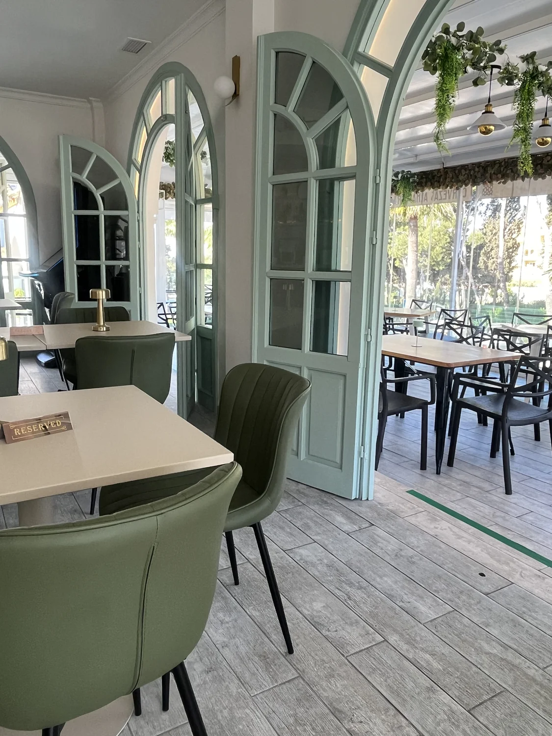 Sillas verdes — ambiente selecto